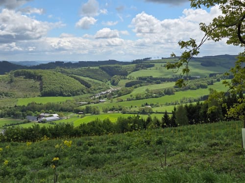 Altenhellefeld Rundweg AH3