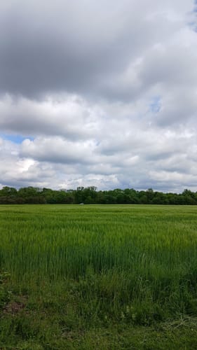 Rund um den Senftenberger See