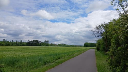 Rund um den Senftenberger See