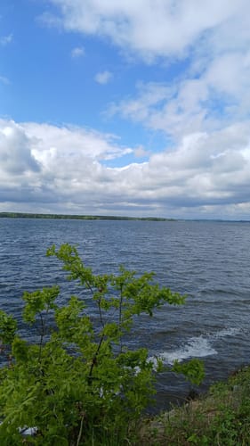 Rund um den Senftenberger See