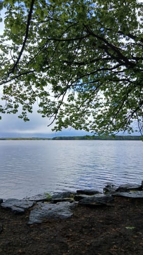 Rund um den Senftenberger See