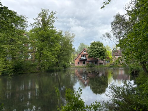 Duvenstedter Brook
