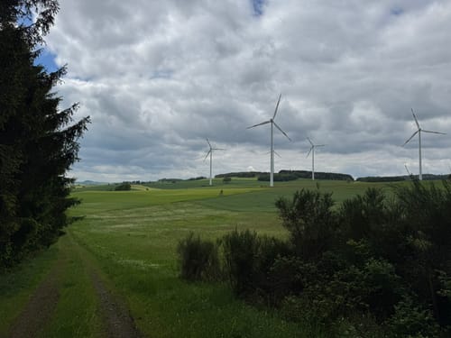 Von Nimshudscheid durch das Dürrbachtal