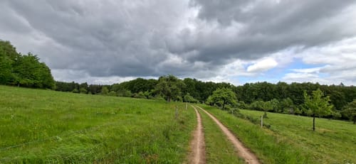 Dammbach: Räuberland Rundweg 1