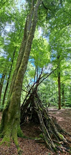 Dammbach: Räuberland Rundweg 1