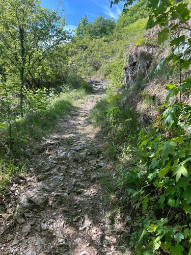 Altmühl Panoramaweg Schlaufe 26 Essing-Ihrlerstein
