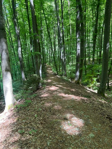 Altmühl Panoramaweg Schlaufe 26 Essing-Ihrlerstein