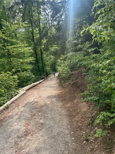 Altmühl Panoramaweg Schlaufe 26 Essing-Ihrlerstein