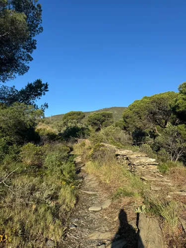 Camping Ampurdanes - hikes and trails to get you there | AllTrails
