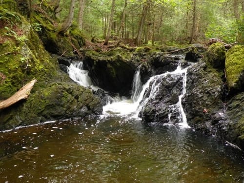 2023 Best Walking Trails in Nackawic | AllTrails