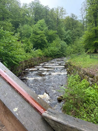 Durch das Ilsetal zur Plessenburg
