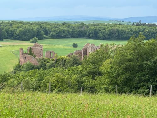 Burgruine Montfort Rundweg