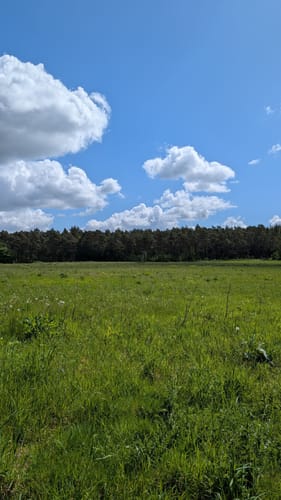 Heidschnuckenweg Etappe 1: Fischbek - Buchholz in der Nordheide