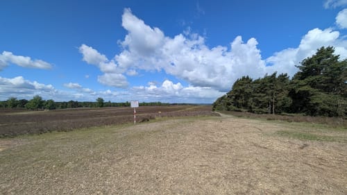 Heidschnuckenweg Etappe 1: Fischbek - Buchholz in der Nordheide
