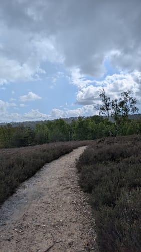 Heidschnuckenweg Etappe 1: Fischbek - Buchholz in der Nordheide