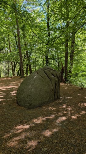 Heidschnuckenweg Etappe 1: Fischbek - Buchholz in der Nordheide