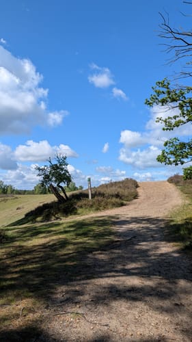 Heidschnuckenweg Etappe 1: Fischbek - Buchholz in der Nordheide