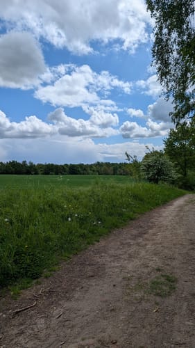 Heidschnuckenweg Etappe 1: Fischbek - Buchholz in der Nordheide