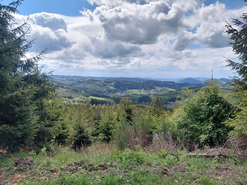 Kahler-Asten-Steig (Premiumwanderweg)