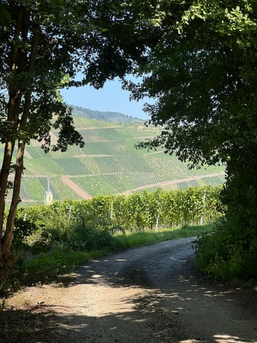 Deutschherrenweg