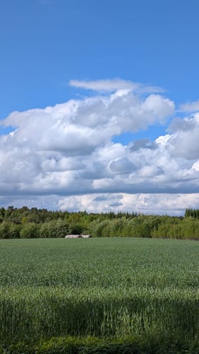 Heidschnuckenweg Etappe 1: Fischbek - Buchholz in der Nordheide