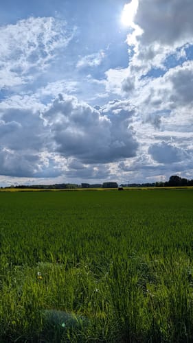 Heidschnuckenweg Etappe 1: Fischbek - Buchholz in der Nordheide