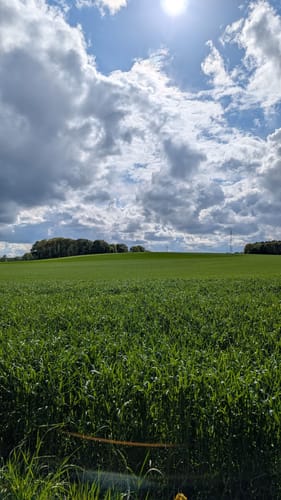 Heidschnuckenweg Etappe 1: Fischbek - Buchholz in der Nordheide
