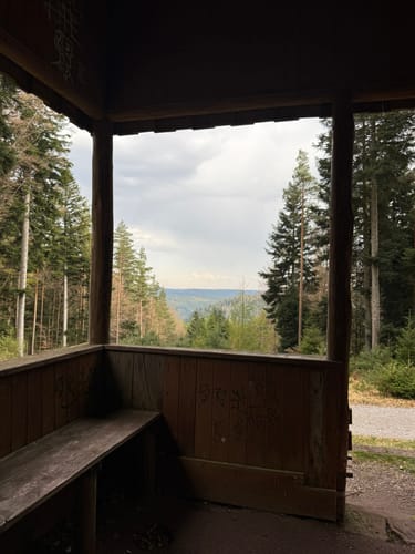 Baumwipfelpfad Schwarzwald