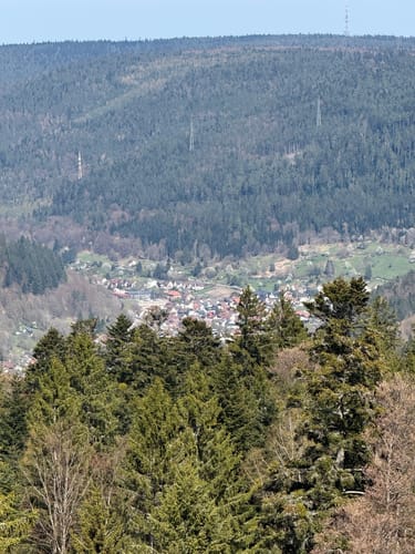 Baumwipfelpfad Schwarzwald
