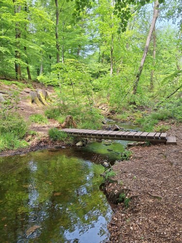Bärenfels - Adelsfels von Stausee Losheim