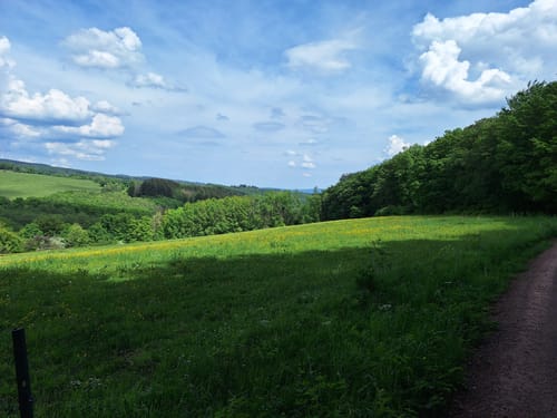 Bärenfels - Adelsfels von Stausee Losheim