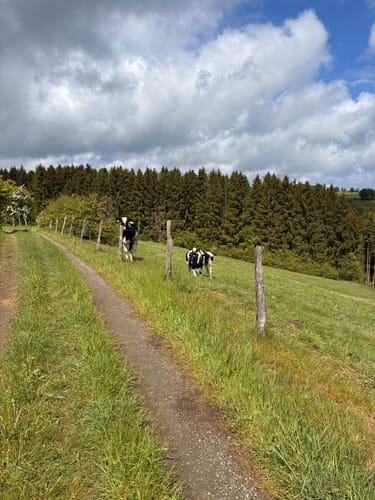 Höfener Heckenweg