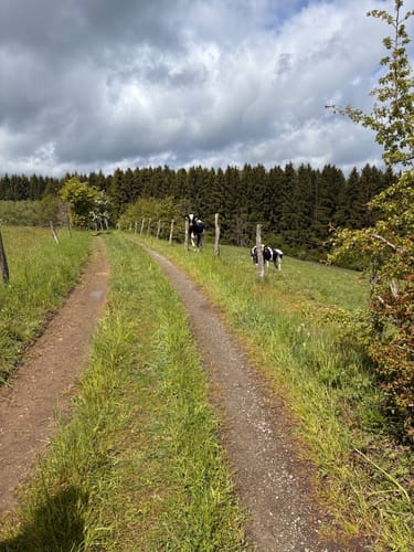 Höfener Heckenweg