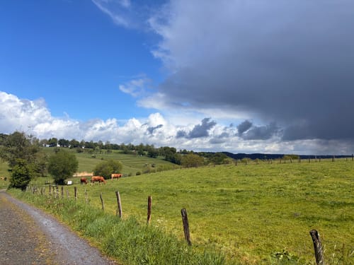 Höfener Heckenweg