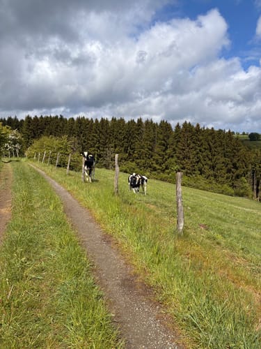 Höfener Heckenweg