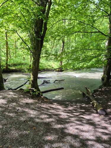 Um den Wildpark Neandertal ab Museum [CLOSED]
