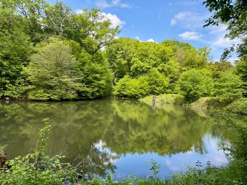 Wahner Heide ab Altenrath