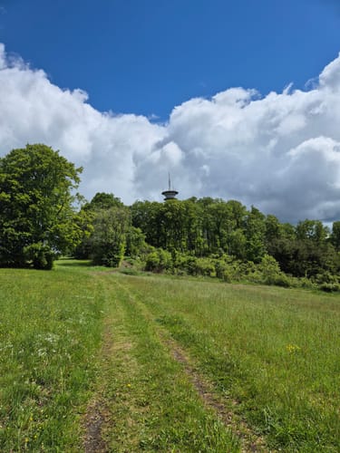 Wanderung O3 - Von Oberaula zum Eisenberg