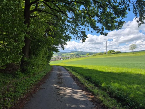 Wanderung O3 - Von Oberaula zum Eisenberg