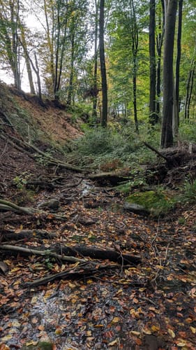Patensteig