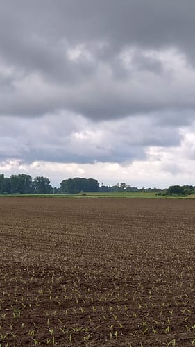 Nierst Rundweg A3