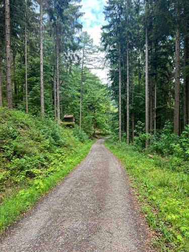 Rundweg über Quellenerlebnispfad und Wurstberg