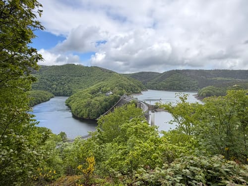 Bird Watching Runde: Von Vogelsang über die Urftseebrücke
