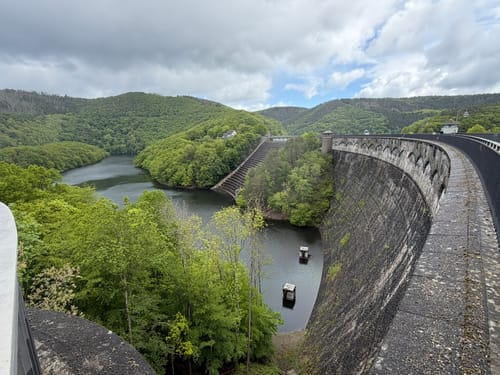 Bird Watching Runde: Von Vogelsang über die Urftseebrücke