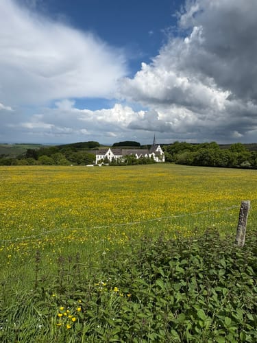 Durch das Herz des Nationalparks Eifel (Klosterrunde)