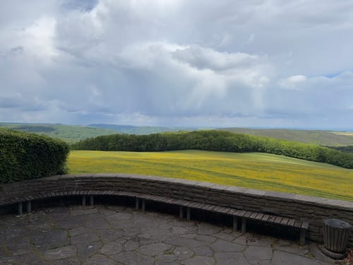 Durch das Herz des Nationalparks Eifel (Klosterrunde)