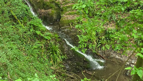Kestert - Pulsbachklamm - Oberkestert
