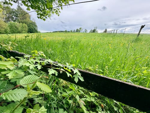Leutstetten - Gauting