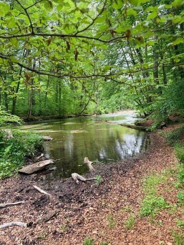 Leutstetten - Gauting