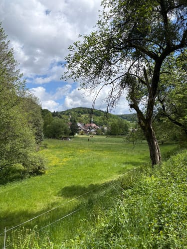 Dammbach: RÄUBERLAND-Pfad Himmelshirtenweg